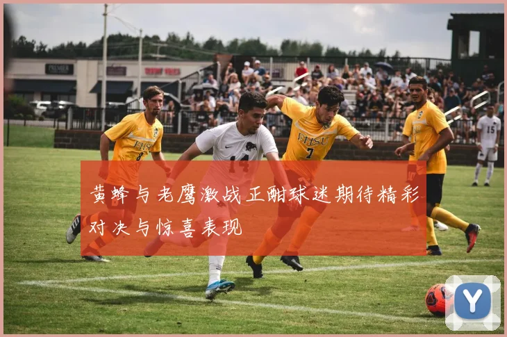 黄蜂与老鹰激战正酣球迷期待精彩对决与惊喜表现