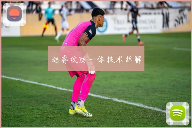 赵睿攻防一体技术拆解