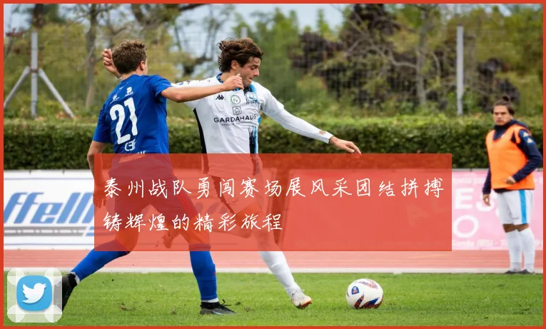 泰州战队勇闯赛场展风采团结拼搏铸辉煌的精彩旅程
