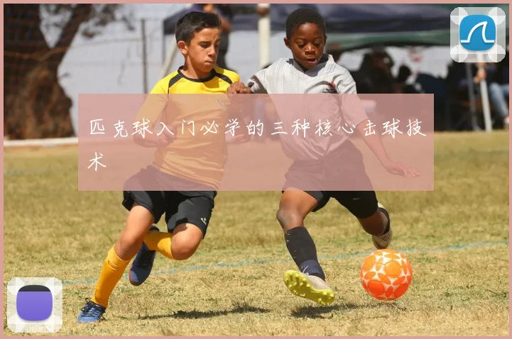 匹克球入门必学的三种核心击球技术